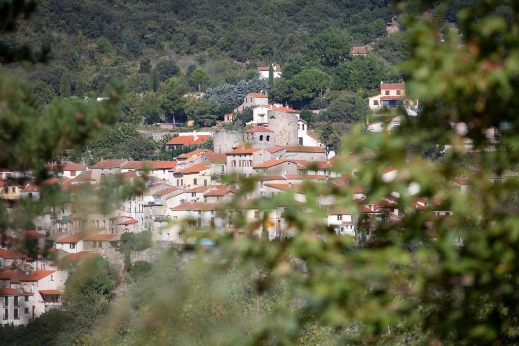 La Pinede Hotel Amelie-les-Bains-Palalda Room photo